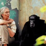 Jane Goodall’s Journey Overcoming Objectification in Science at 91