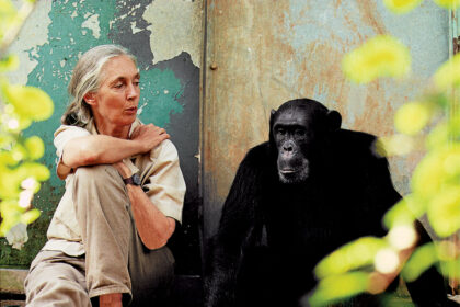 Jane Goodall’s Journey Overcoming Objectification in Science at 91
