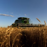China Warns Against Trump Farmland Ban Impacting US Agriculture